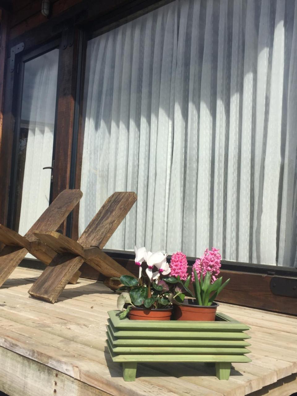 Palo Santo Acomodação com café da manhã Pichilemu Exterior foto