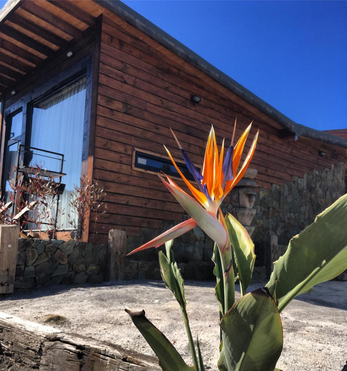 Palo Santo Acomodação com café da manhã Pichilemu Exterior foto